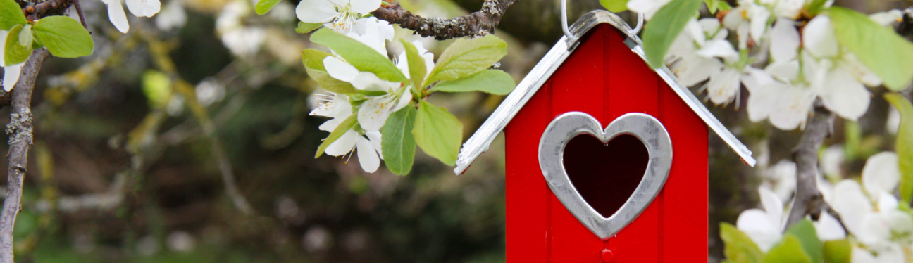Seddons guide to… Smartening up your garden on a tiny budget.